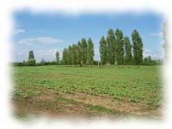 Farm1 Farm1