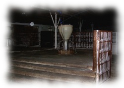 Farm2