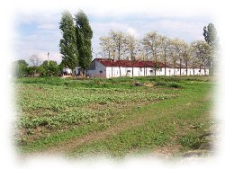 Farm4