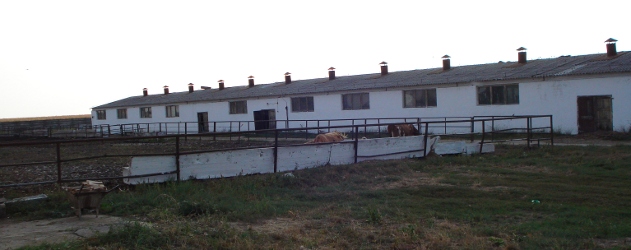 Farm1.JPG