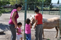 At the Zooe.JPG